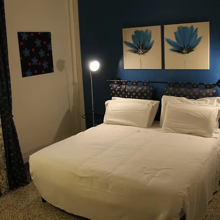 Cimatori 4*